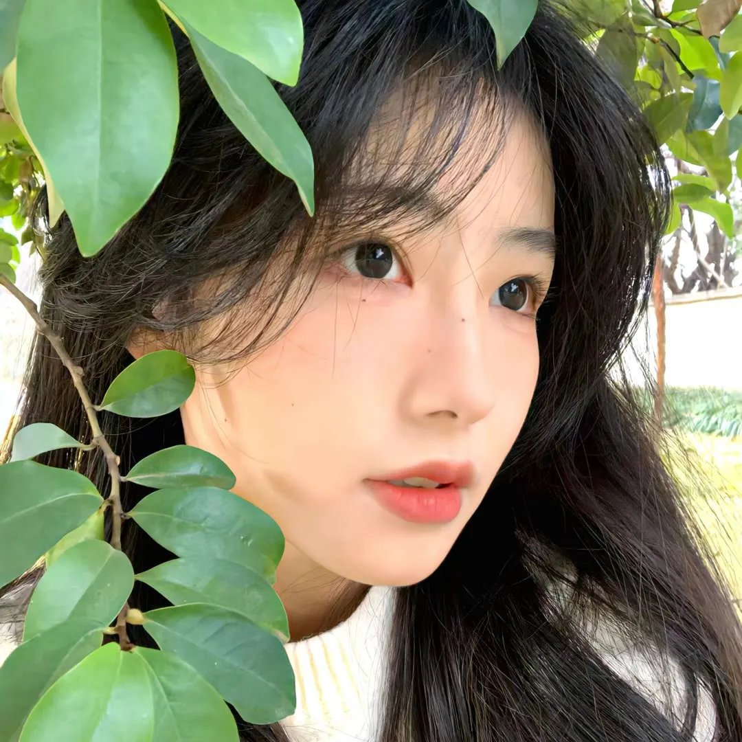 陶宝萍的幸福生活